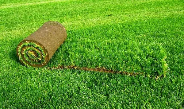 Газоны